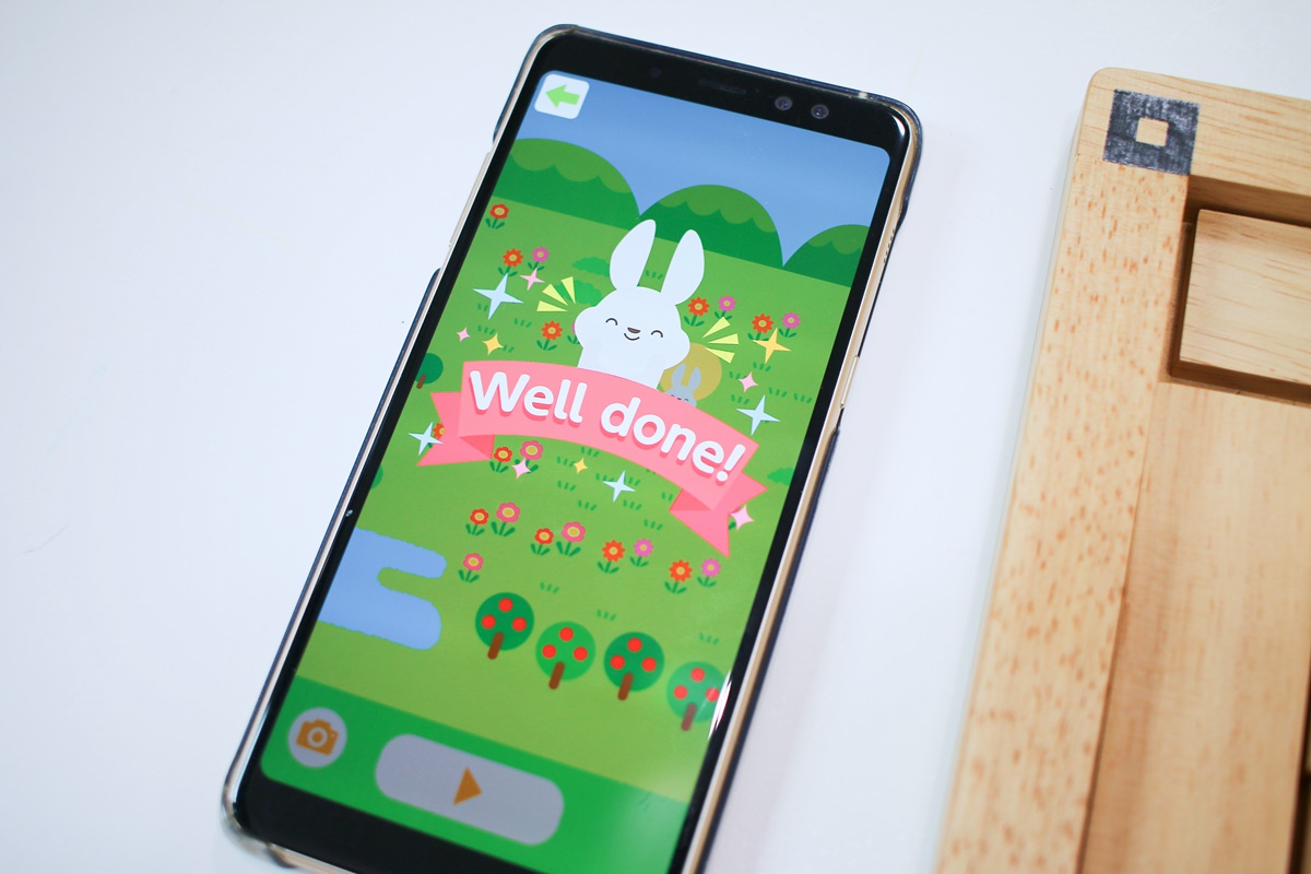 【團購】日本ED.INTER 積木、益智木頭玩具 可以玩很久的益智遊戲