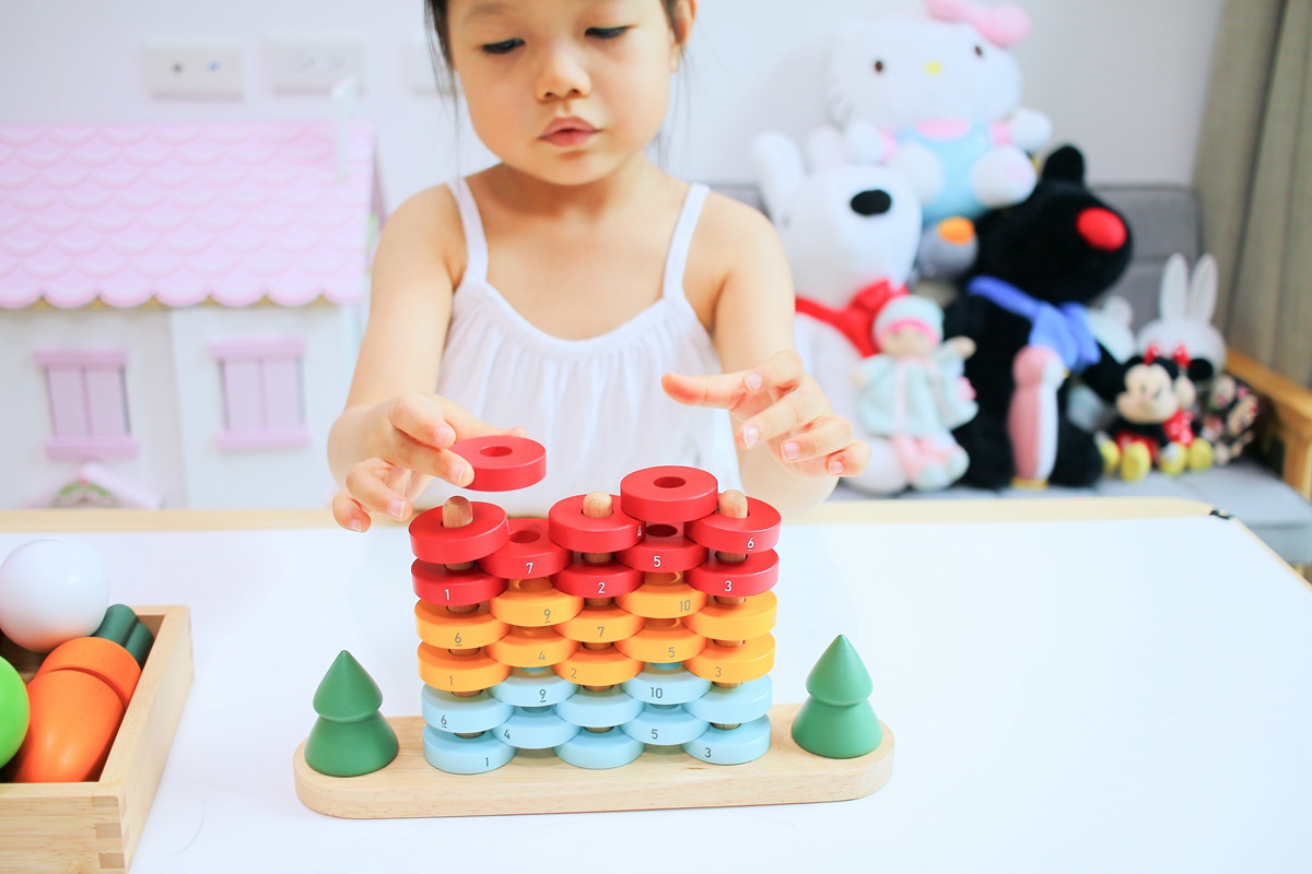 【團購】日本ED.INTER 積木、益智木頭玩具 可以玩很久的益智遊戲