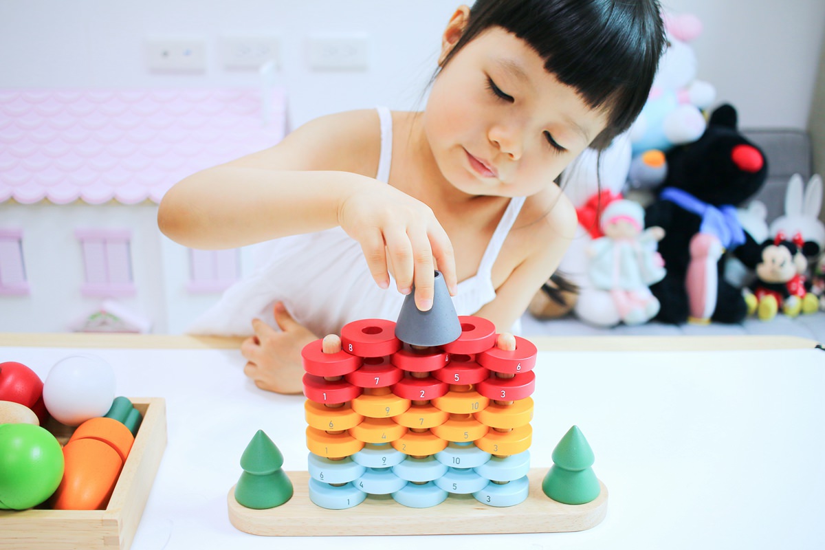 【團購】日本ED.INTER 積木、益智木頭玩具 可以玩很久的益智遊戲