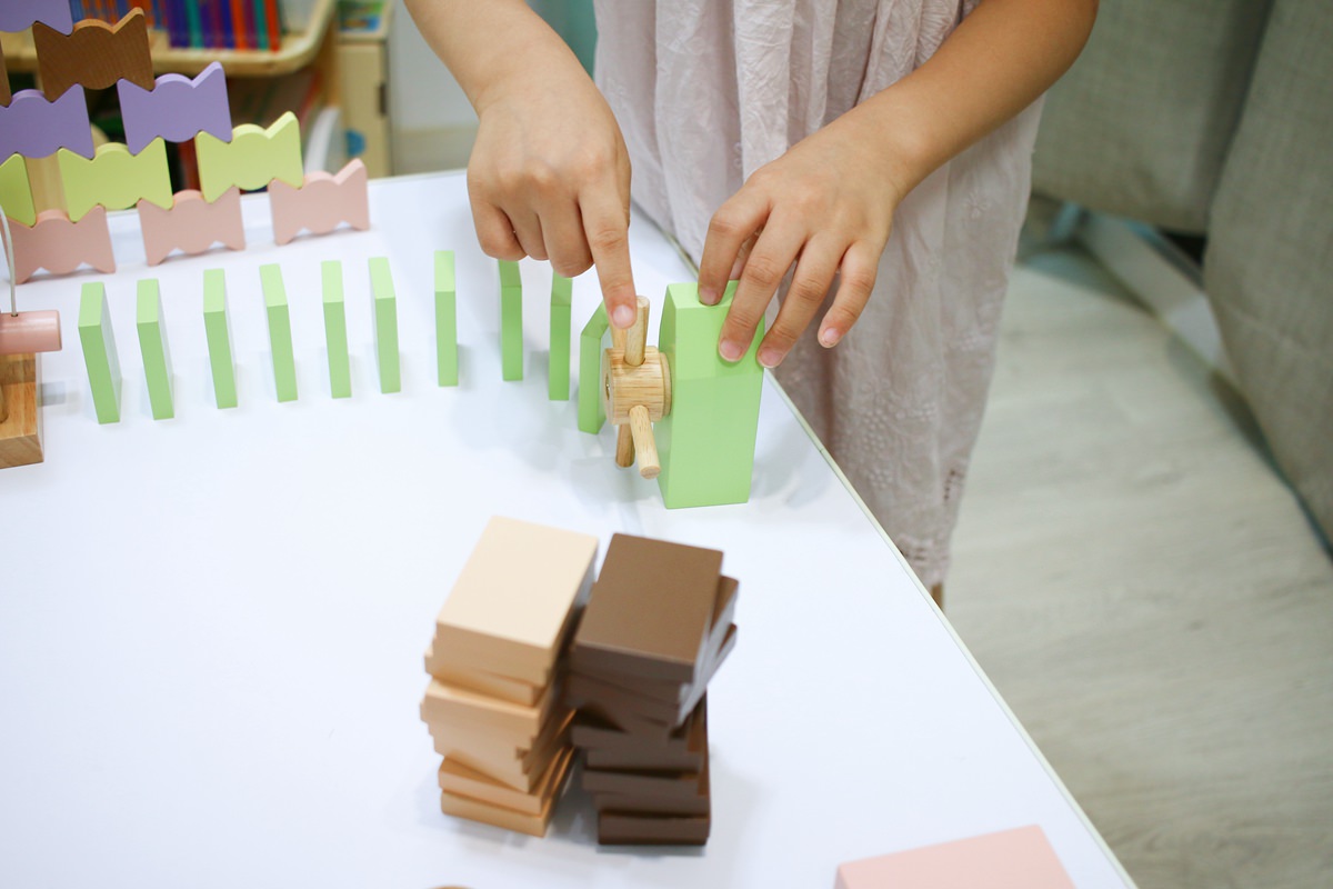 【團購】日本ED.INTER 積木、益智木頭玩具 可以玩很久的益智遊戲