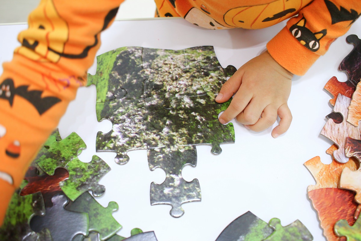 Madd Capp I AM 拼圖 極富挑戰性、好適合親子共玩的拼圖 - 第10張圖 Madd Capp I AM 拼圖 極富挑戰性、好適合親子共玩的拼圖