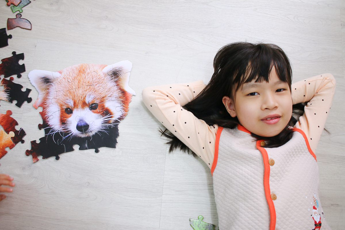 Madd Capp I AM 拼圖 極富挑戰性、好適合親子共玩的拼圖 - 第12張圖 Madd Capp I AM 拼圖 極富挑戰性、好適合親子共玩的拼圖