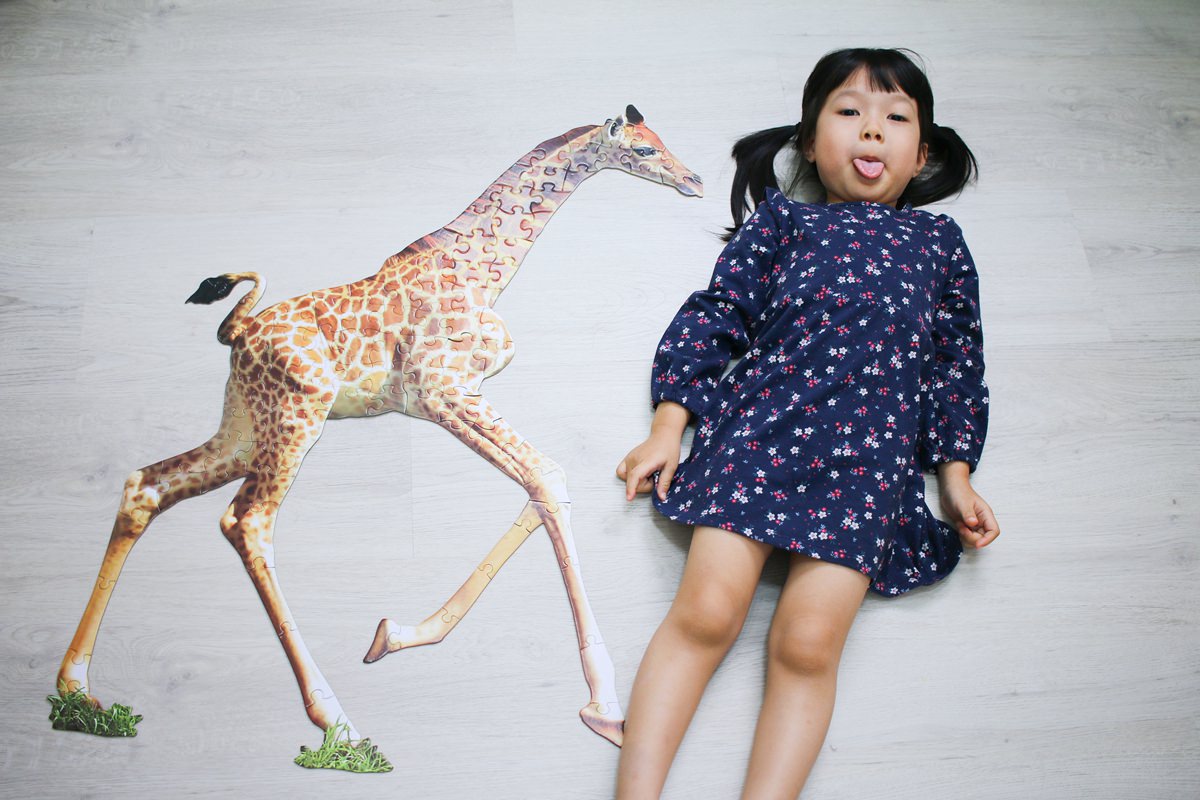 Madd Capp I AM 拼圖 極富挑戰性、好適合親子共玩的拼圖 - 第26張圖 Madd Capp I AM 拼圖 極富挑戰性、好適合親子共玩的拼圖