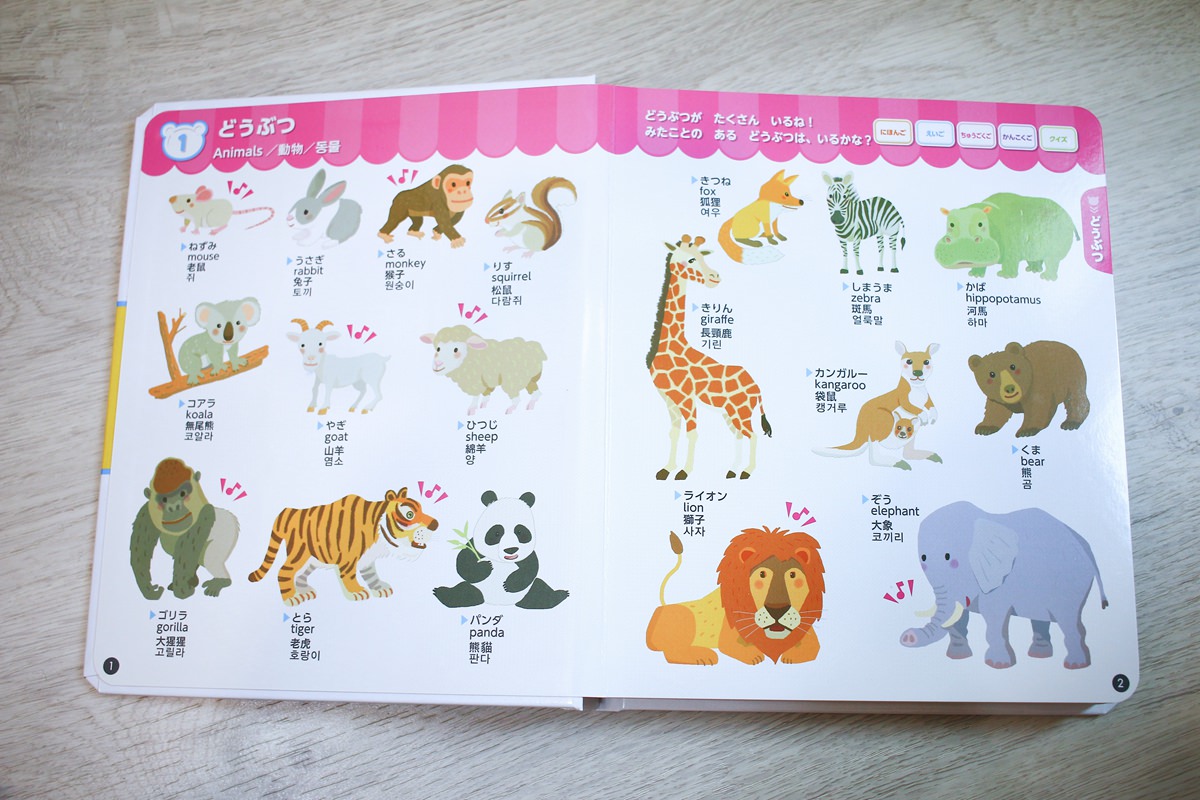 幼兒學習 四語圖解字典 讓孩子學習許多字彙的好物     KidsRead點讀筆推薦