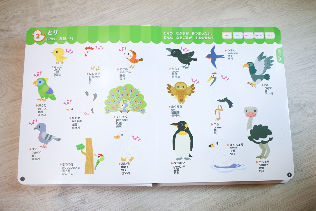 幼兒學習 四語圖解字典 讓孩子學習許多字彙的好物     KidsRead點讀筆推薦