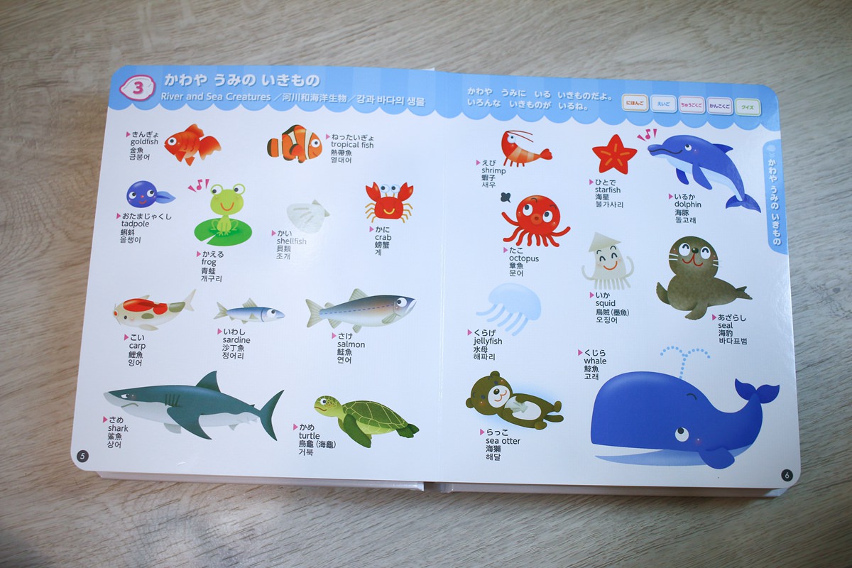 幼兒學習 四語圖解字典 讓孩子學習許多字彙的好物     KidsRead點讀筆推薦