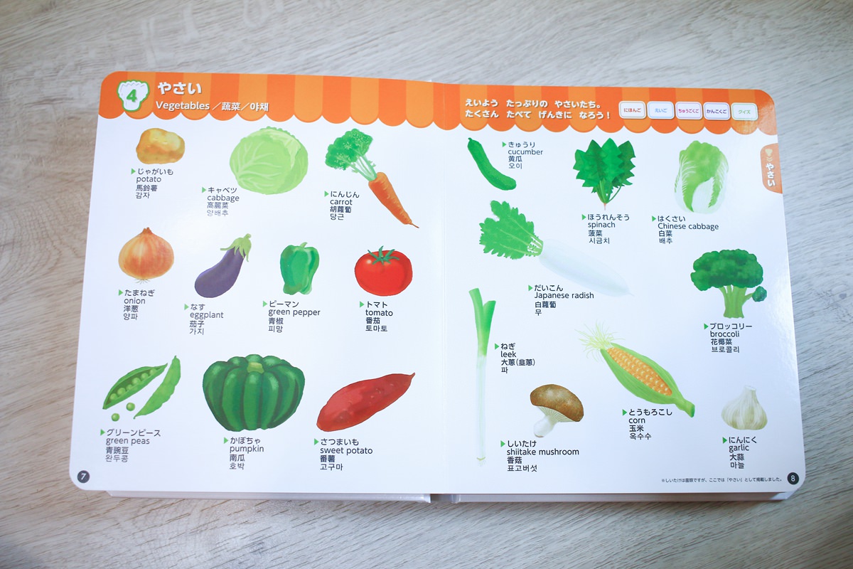 幼兒學習 四語圖解字典 讓孩子學習許多字彙的好物     KidsRead點讀筆推薦
