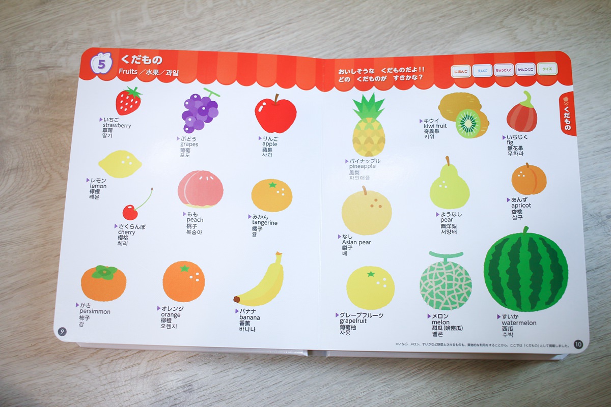 幼兒學習 四語圖解字典 讓孩子學習許多字彙的好物     KidsRead點讀筆推薦