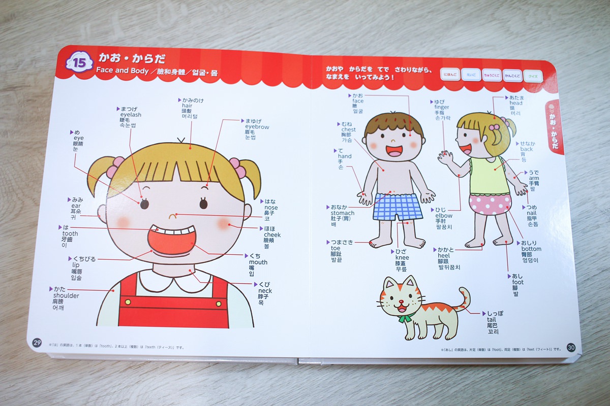 幼兒學習 四語圖解字典 讓孩子學習許多字彙的好物     KidsRead點讀筆推薦