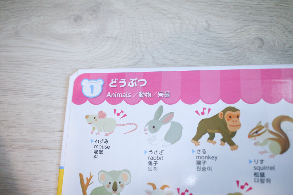 幼兒學習 四語圖解字典 讓孩子學習許多字彙的好物     KidsRead點讀筆推薦
