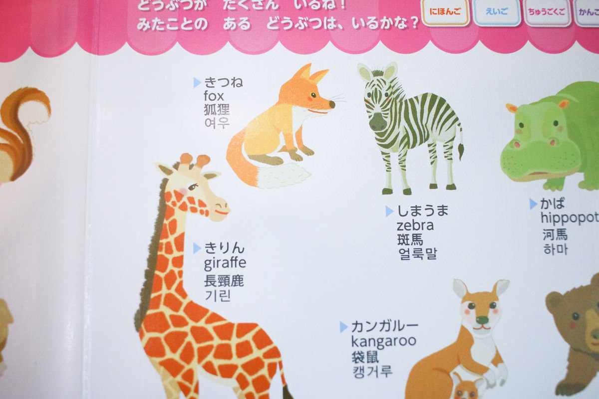 幼兒學習 四語圖解字典 讓孩子學習許多字彙的好物     KidsRead點讀筆推薦