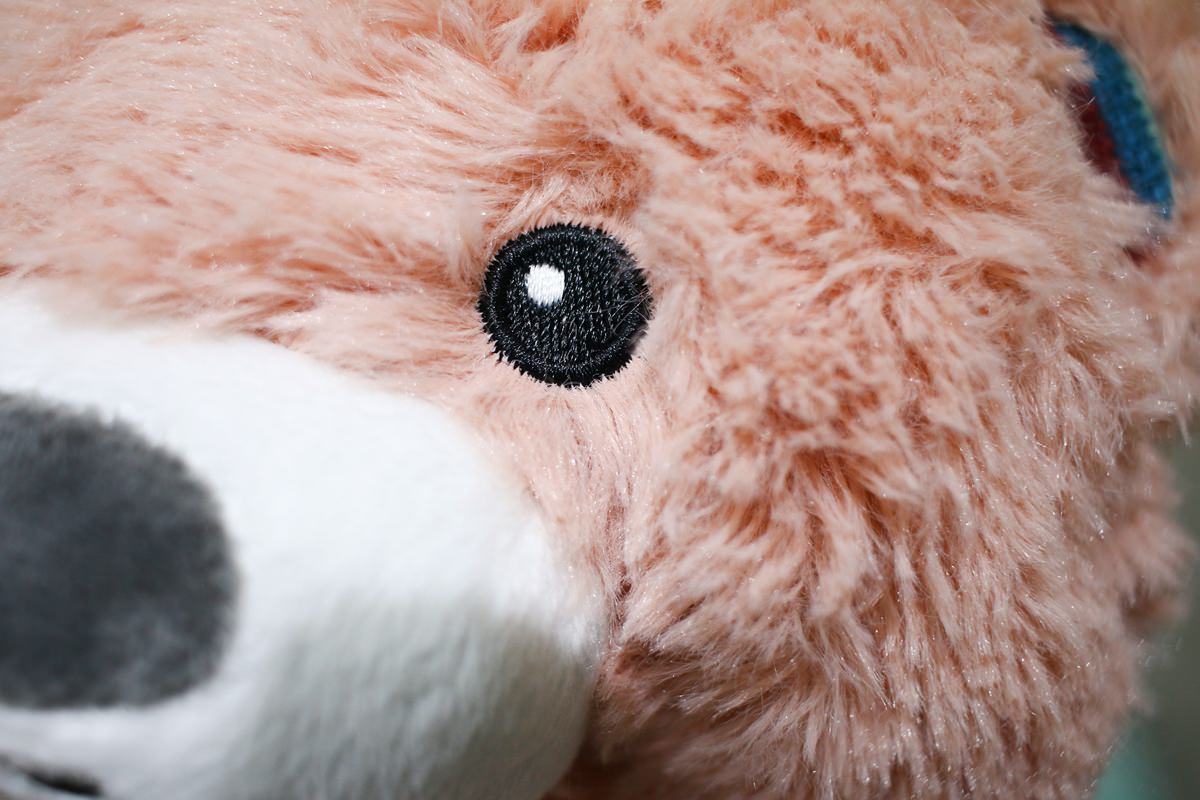 【安撫玩偶推薦】ZAZU心跳好朋友、強鵝好朋友、奶嘴好朋友 兼具安撫功能陪伴孩子成長的玩具