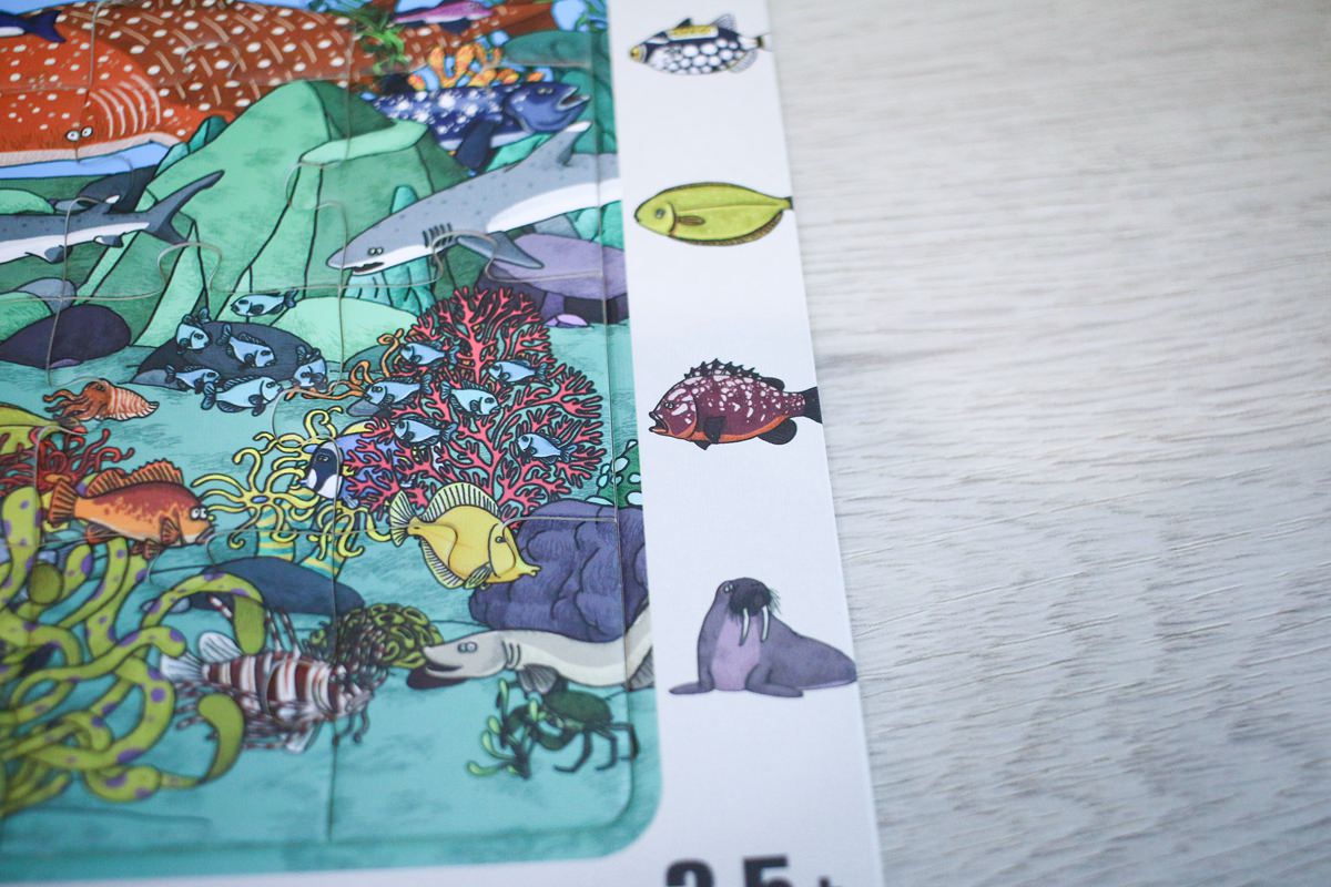 【團購】Mideer 新品篇 :磁性積木、拼圖、桌遊和畫畫作品