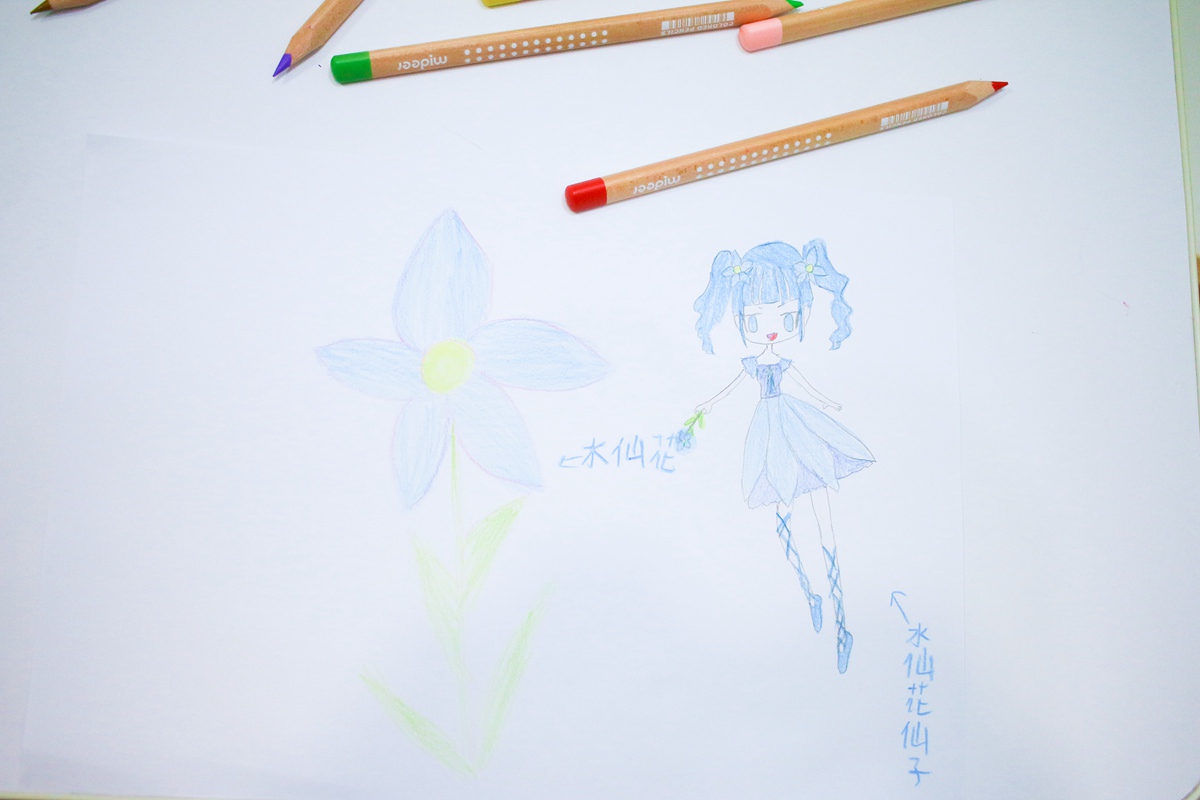 【團購】Mideer 新品篇 :磁性積木、拼圖、桌遊和畫畫作品
