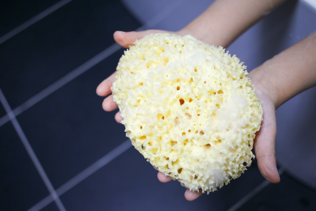 【團購】韓國Mongdies 神經醯胺乳液x防曬 溫和、保濕效果好，敏感皮膚也適用