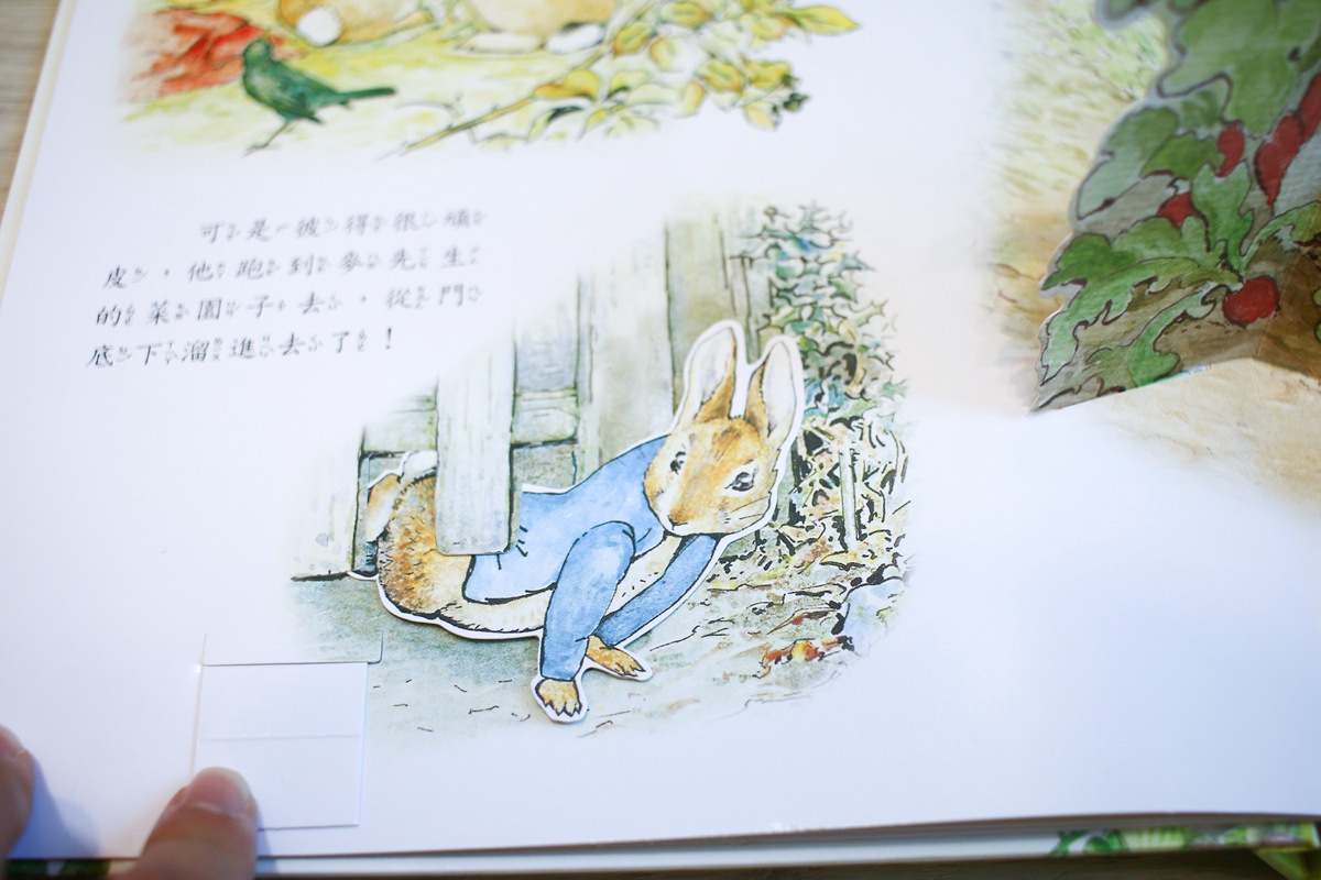 彼得兔繪本 小兔彼得120週年精選和立體書13