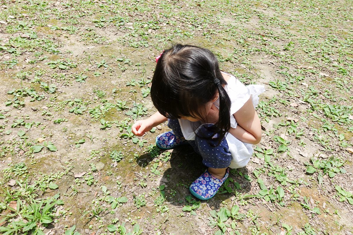 日本SkippOn 童鞋04